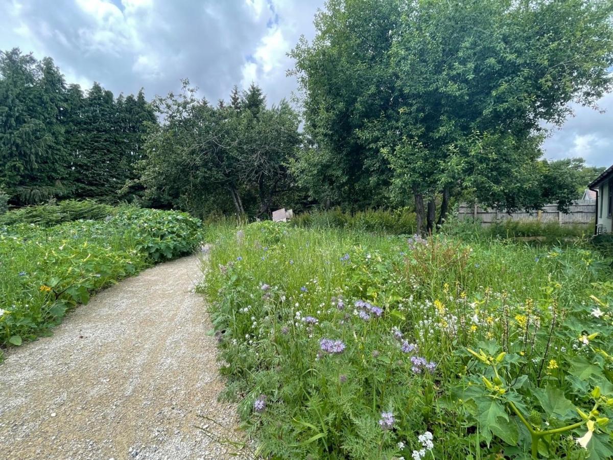 The Bearded Goat Den - A Rural Retreat At This Modern Holiday Cottage Saint Leonards Bagian luar foto