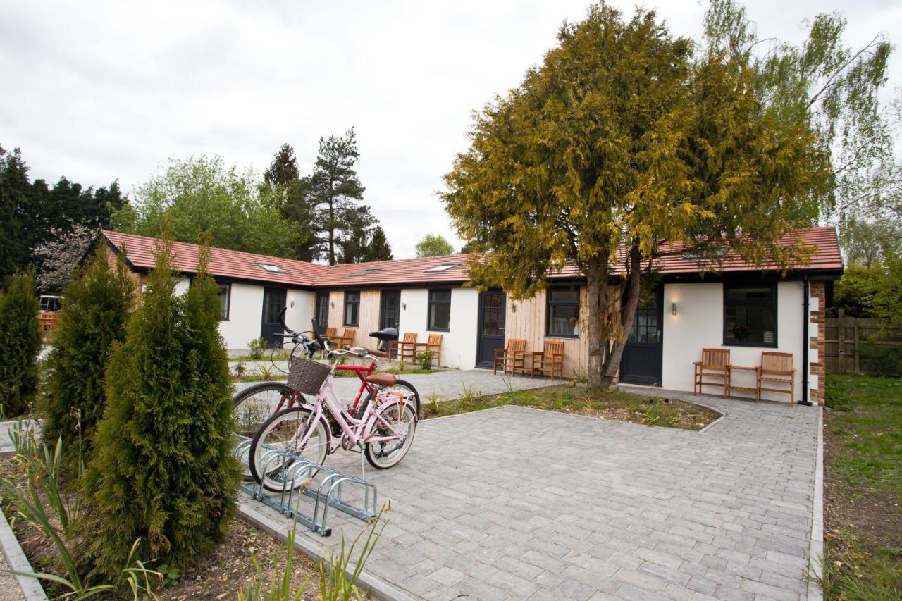 The Bearded Goat Den - A Rural Retreat At This Modern Holiday Cottage Saint Leonards Bagian luar foto